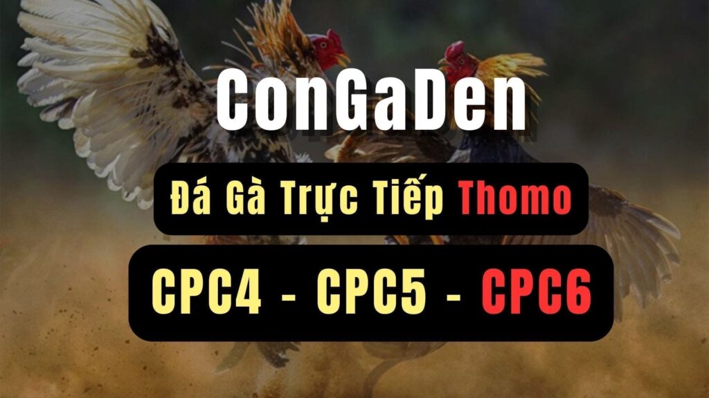 What Makes the TP88 Online Cockfighting Game Worth Experiencing? 1 image 14